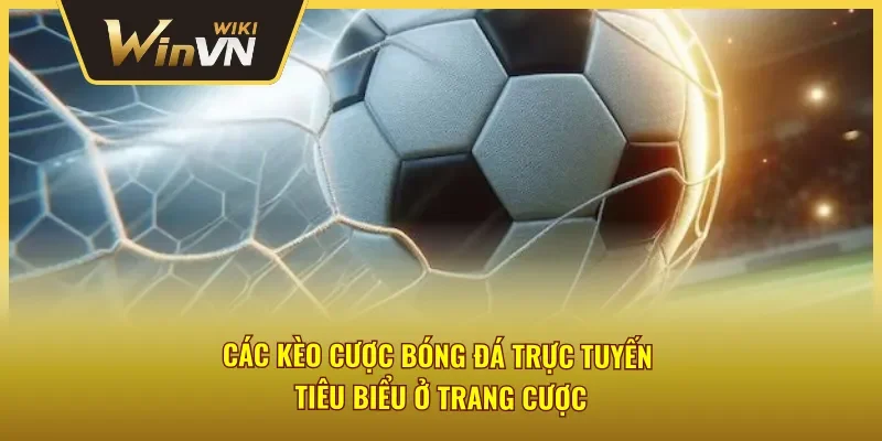 Các kèo cược bóng đá Winvn nổi bật nên biết 
