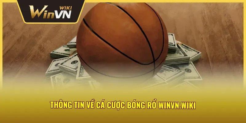 Trang cược phục vụ hội viên với dịch vụ tốt nhất 