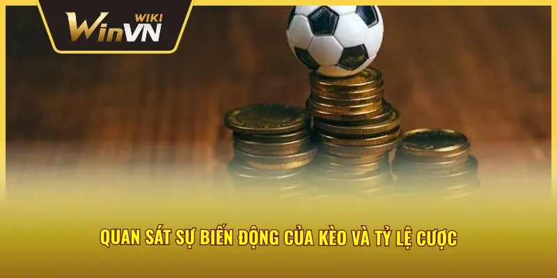 Quan sát sự biến động của kèo và tỷ lệ cược để đặt cược
